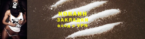 стаф Волосово