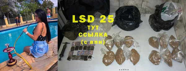 стаф Волосово