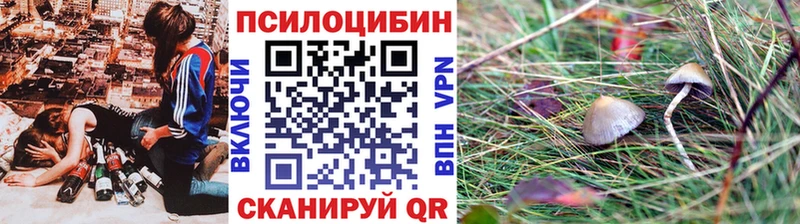 Купить закладки  Балей  Псилоцибиновые грибы MAGIC MUSHROOMS 